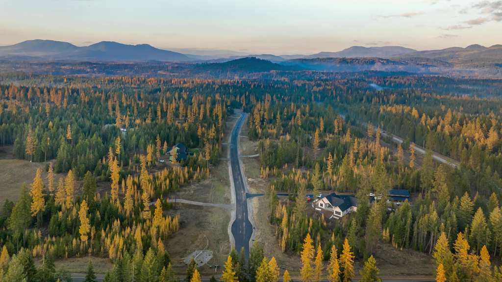 Wooded five-acre parcel in North Idaho before design begins